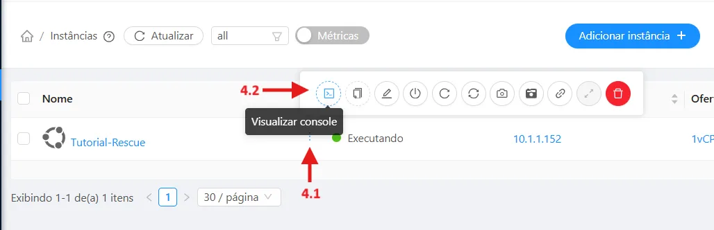 Visualizar Console