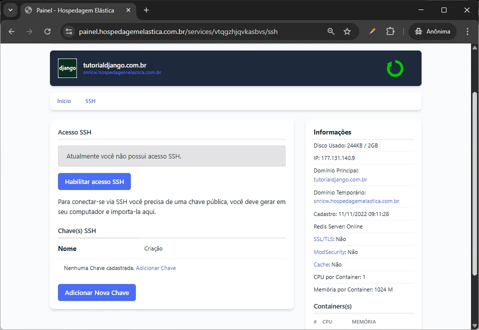 print painel hospedagem django - acesso SSH