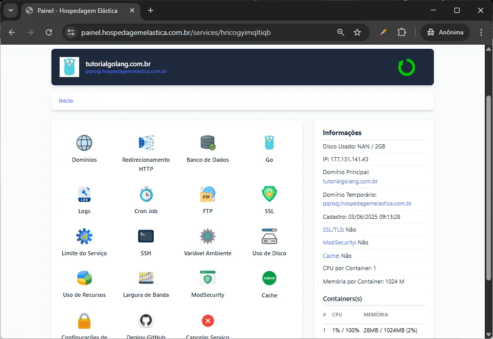 print painel hospedagem golang - painel hospedagem