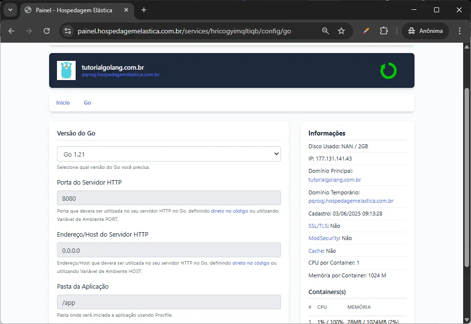 print painel hospedagem golang - alterando a versão do golang