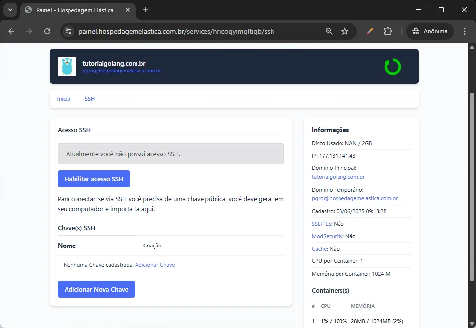print painel hospedagem golang - acesso SSH