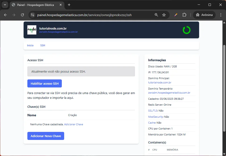 print painel hospedagem node.js - Acesso SSH