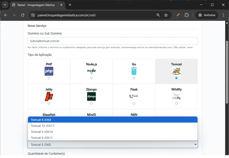 print painel hospedagem tomcat- Criar hospedagem java