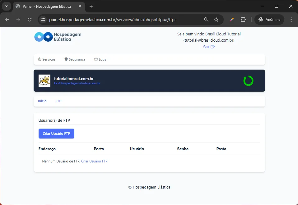 print painel hospedagem tomcat- FTP hospedagem java